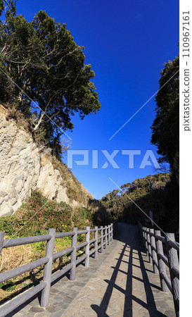 三浦半島的風景名勝荒崎公園 110967161
