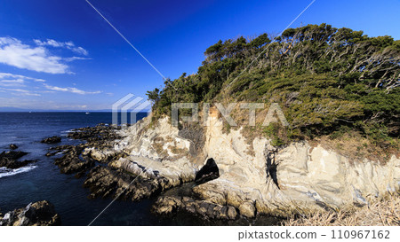 Arasaki Park, a scenic spot on the Miura Peninsula 110967162