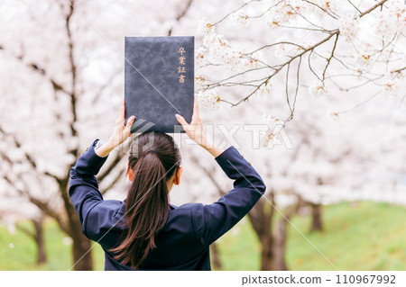 High school/high school girls placing their diplomas on their heads under cherry blossoms in full bloom (graduation/graduation/graduation ceremony) 110967992