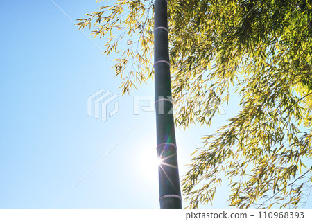 藍色的天空和雲圖像 藍色的天空和雲圖像 110968393