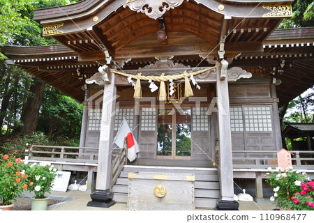 Seeing roses at Tomo Shrine #51 Seeing roses at Tomo Shrine #51 110968477