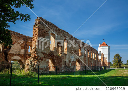 Ruins of Golshansky Castle 110968919