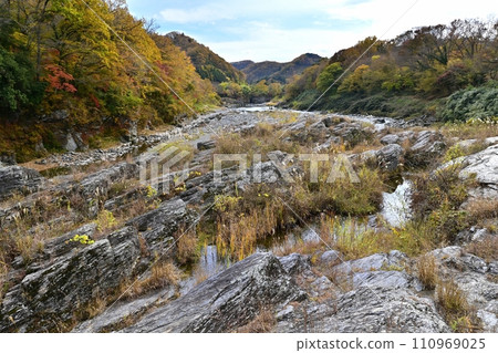 荒川上的遊船沿著長瀞線航行，荒川流經長瀞溪谷岩石鋪道的南端附近，紅葉遍地。 110969025