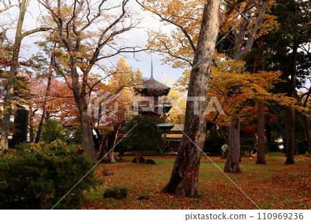 日吉八幡神社境內的秋葉與三層寶塔 110969236
