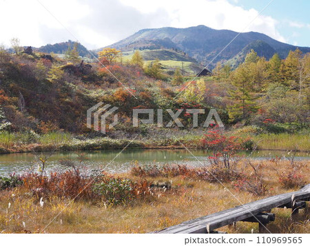 秋季脫甲池 110969565