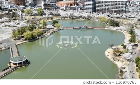 春天盛開的畫卷-郡山市海成山公園的櫻花鳥瞰圖 春天盛開的畫卷-郡山市海成山公園的櫻花鳥瞰圖 110970763