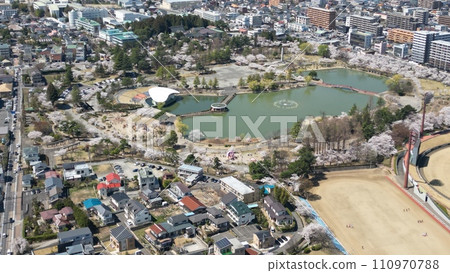 Picture scroll of spring in full bloom - Aerial view of cherry blossoms at Kaiseiyama Park, Koriyama City Picture scroll of spring in full bloom - Aerial view of cherry blossoms at Kaiseiyama Park, Koriyama City 110970788