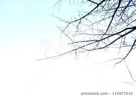 一個分支 110971010