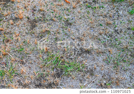 Vacant land Vacant land 110971025
