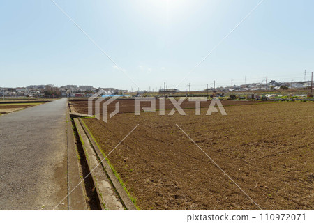 Sheep train and field Sheep train and field 110972071