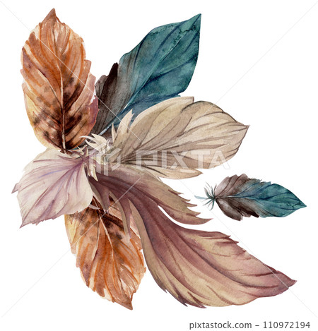 Hand drawn watercolor bird feather plume quill boho tribal ethnic indian brown. Composition isolated on white background. Design for charm, amulet, dreamcatcher, scrapbooking, handmade craft, tattoo Hand drawn watercolor bird feather plume quill boho tribal ethnic indian brown. Composition isolated on white background. Design for charm, amulet, dreamcatcher, scrapbooking, handmade craft, tattoo 110972194