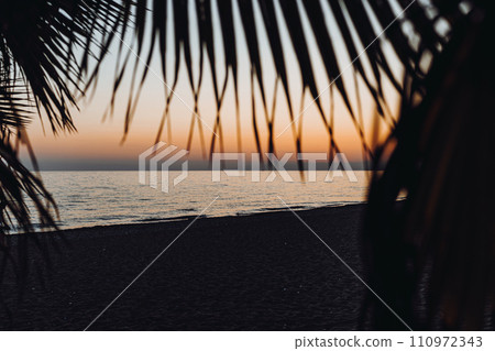 sea coast at sunset, a view of the embankment through the leaves of a palm tree, a view of the sea through the leaves. Mediterranean Sea .Turkey sea coast at sunset, a view of the embankment through the leaves of a palm tree, a view of the sea through the leaves. Mediterranean Sea .Turkey 110972343