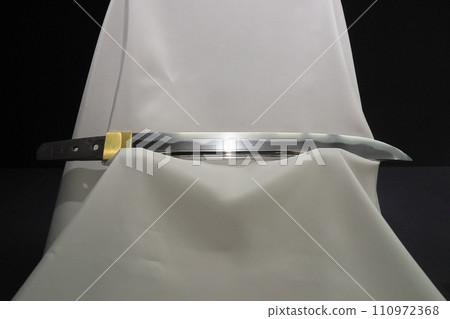 Wakizashi Japanese sword displayed as a work of art Wakizashi Japanese sword displayed as a work of art 110972368