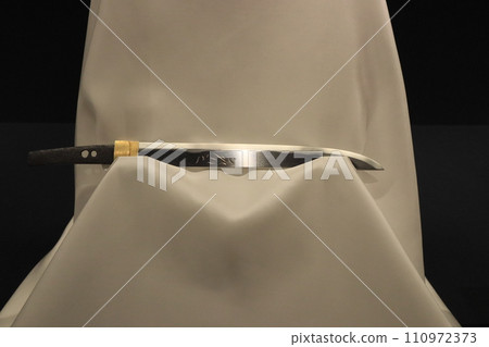 作為藝術品展示的脅差日本刀 110972373