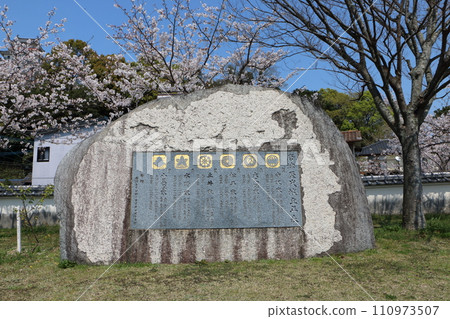 Karatsu Castle and cherry blossoms in Karatsu City, Saga Prefecture 14 110973507