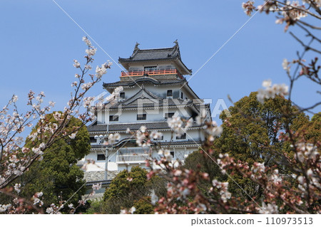 Karatsu Castle and cherry blossoms in Karatsu City, Saga Prefecture 07 110973513