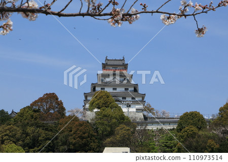 Karatsu Castle and cherry blossoms in Karatsu City, Saga Prefecture 08 110973514