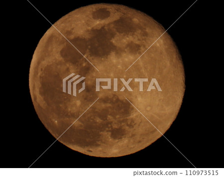 The first full moon of 2024 taken from my garden 110973515