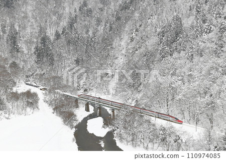 雪中的秋田新幹線 110974085