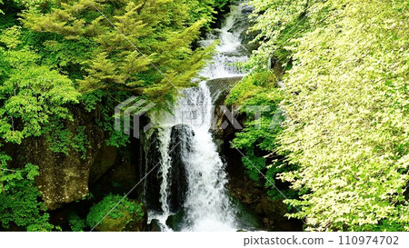 Ryuzu Falls in Nikko City, Tochigi Prefecture Ryuzu Falls in Nikko City, Tochigi Prefecture 110974702