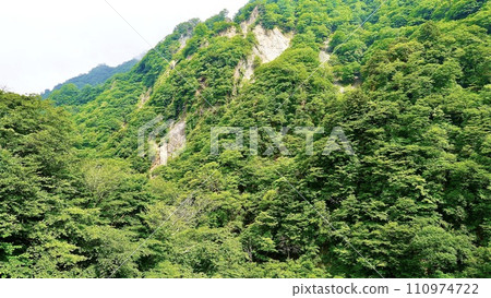 Valley opposite Kegon Falls in Nikko City, Tochigi Prefecture 110974722