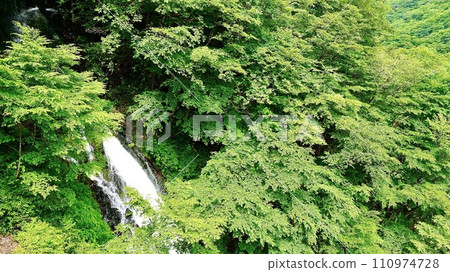 涅槃瀑布（栃木縣日光市） 110974728