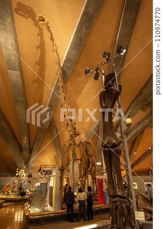 群馬縣立自然歷史博物館 110974770