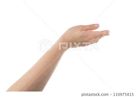 Young woman hand hold something on a pal isolated on white background Young woman hand hold something on a pal isolated on white background 110975815