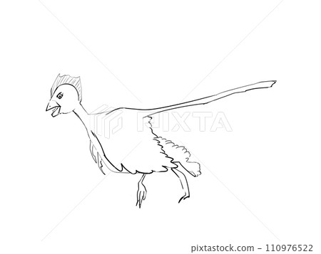 Archeopteryx or Anchiornis 110976522