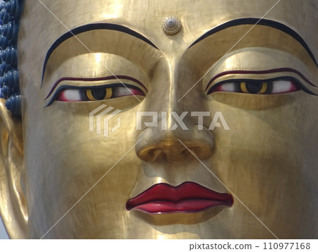 Big Buddha standing on the hill of Thimphu, Thimphu, Bhutan 110977168