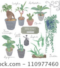 葉子植物 110977460