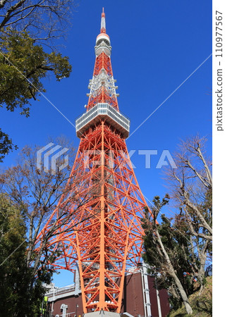 東京鐵塔 東京鐵塔在藍天的映襯下拔地而起 110977567