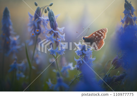 Close-up of a butterfly flies up to a delicate bluebell flower. Blooming meadow macro. Generative Ai Close-up of a butterfly flies up to a delicate bluebell flower. Blooming meadow macro. Generative Ai 110977775