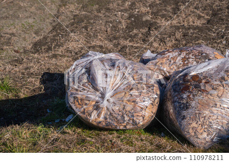 Bagged deciduous leaves making leaf mulch Bagged deciduous leaves making leaf mulch 110978211