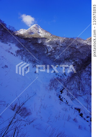 冬天從妙高山燕溫泉步道看到的山頂 冬天從妙高山燕溫泉步道看到的山頂 110978893