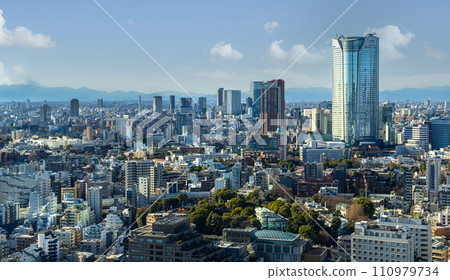 panoramic view of Tokyo, Japan 110979734