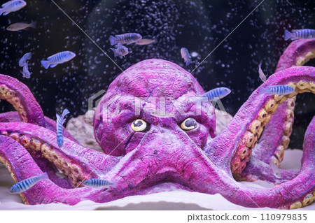 Artificial octopus with many small fiish swimming at aquarium Artificial octopus with many small fiish swimming at aquarium 110979835
