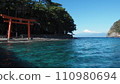 Moroguchi Shrine Torii and Mt. Fuji in Toda, Nishiizu 110980694