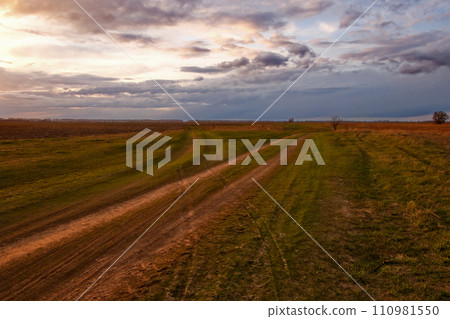 Two diverging dirt roads. A fork in two roads in a field in the late evening. Two diverging dirt roads. A fork in two roads in a field in the late evening. 110981550