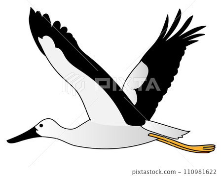 鸛在天上飛翔 110981622