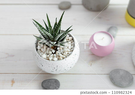 Succulents in a concrete pot on a white wooden table 110982324