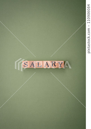 The inscription Salary made of wooden cubes on a plain background The inscription Salary made of wooden cubes on a plain background 110986084