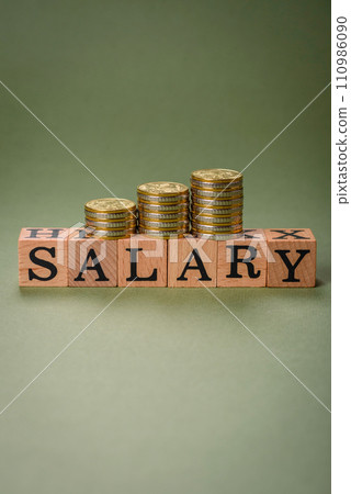 The inscription Salary made of wooden cubes on a plain background 110986090