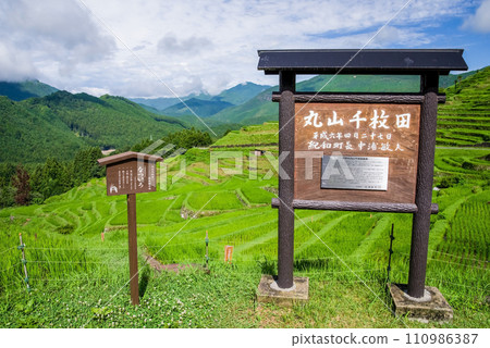[Summer Maruyama Senmaida/Japan's Top 100 Rice Terraces] Kumano City, Mie Prefecture 110986387