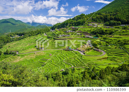 [Summer Maruyama Senmaida/Japan's Top 100 Rice Terraces] Kumano City, Mie Prefecture 110986399