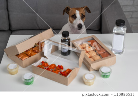 Jack Russell Terrier dog sitting at the table with rolls.  110986535