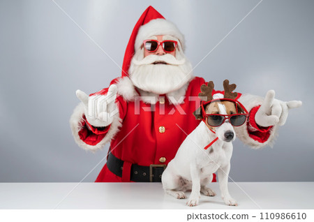 Portrait of Santa Claus in sunglasses shows a goat sign. Dog Jack Russell Terrier in Rudolph deer ears on a white background. Portrait of Santa Claus in sunglasses shows a goat sign. Dog Jack Russell Terrier in Rudolph deer ears on a white background. 110986610