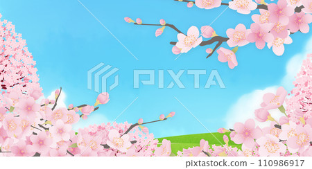 Simple illustration of cherry blossoms in full bloom 110986917