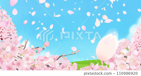 Simple illustration of cherry blossoms in full bloom 110986920