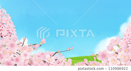 Simple illustration of cherry blossoms in full bloom 110986922